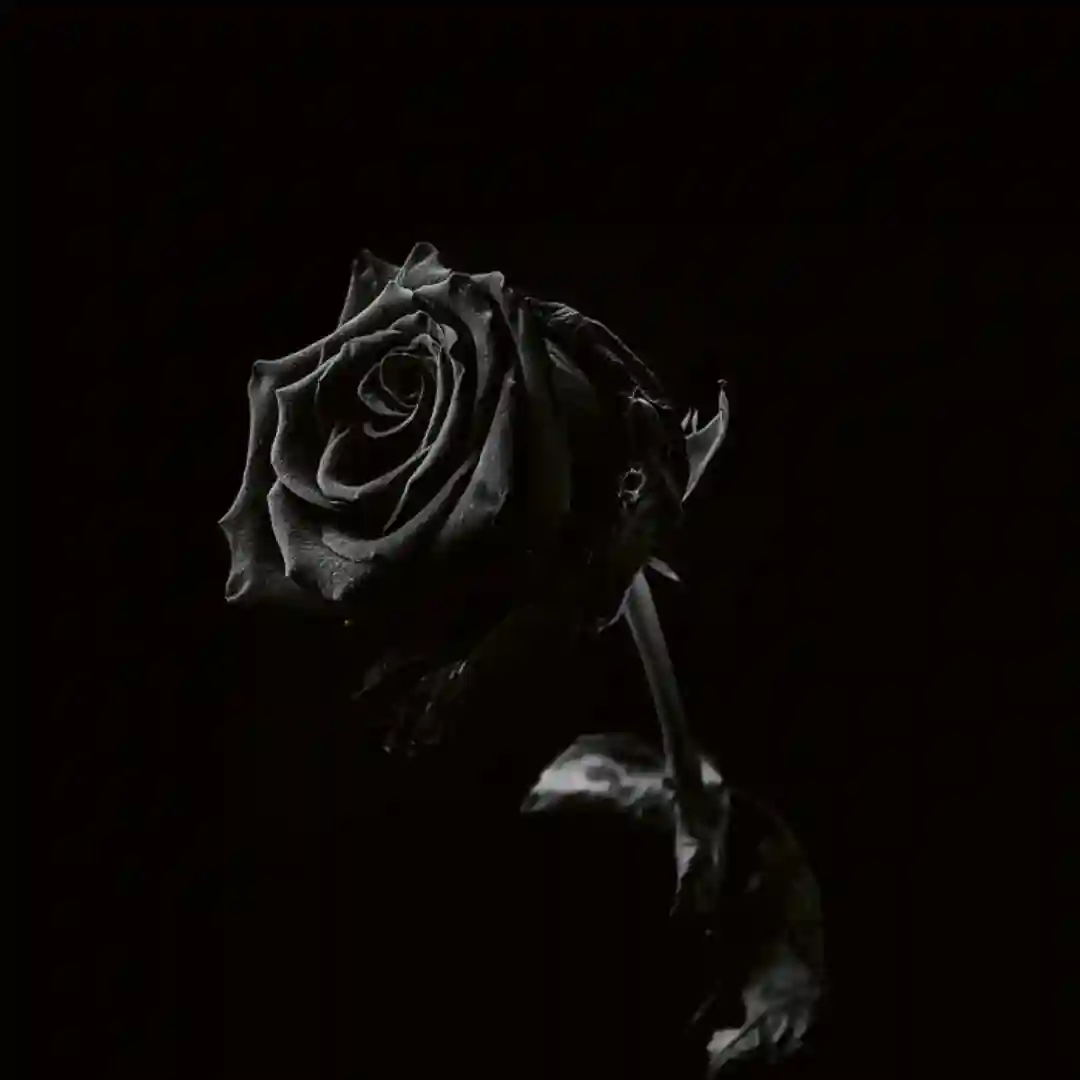 Detached (Original Mix) cover
