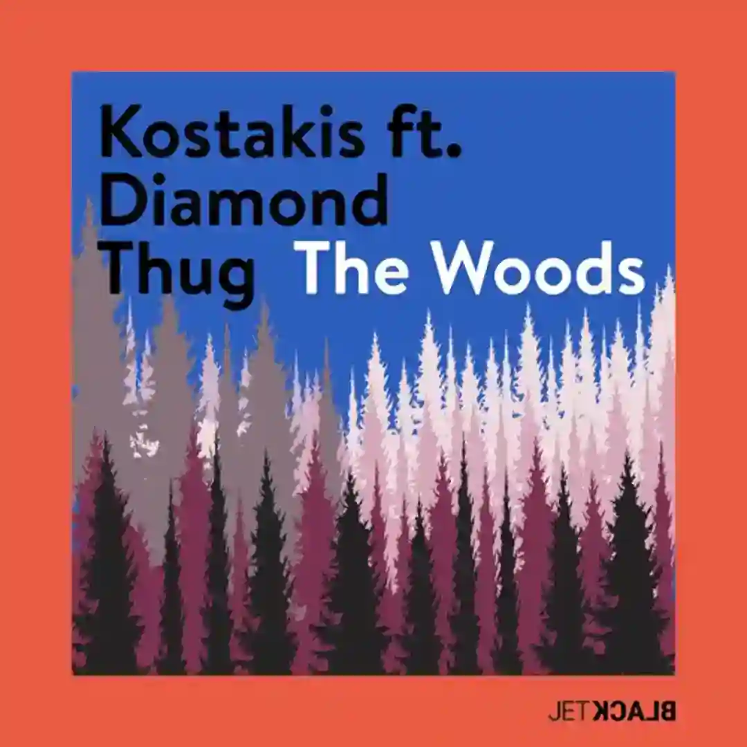 The Woods feat. Diamond Thug (Kostakis Lost in the Woods Edit) cover