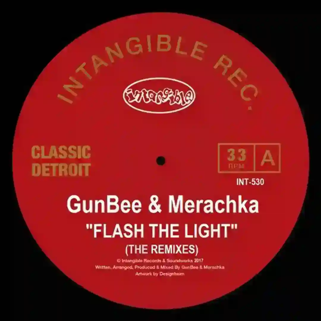 Flash the Light (Terrence Parker & Merachka Techno Light Remix) cover