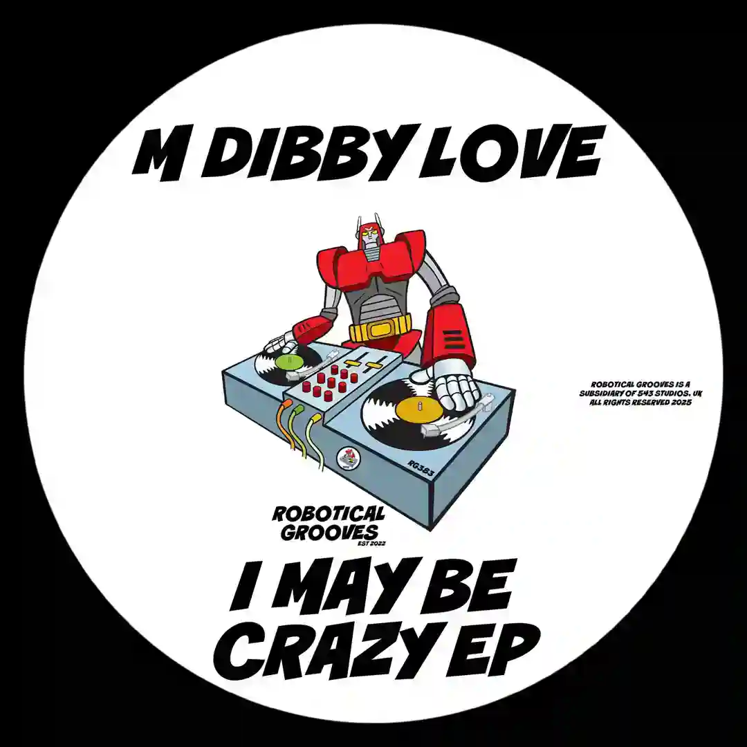 I May Be Crazy (Original Mix) cover