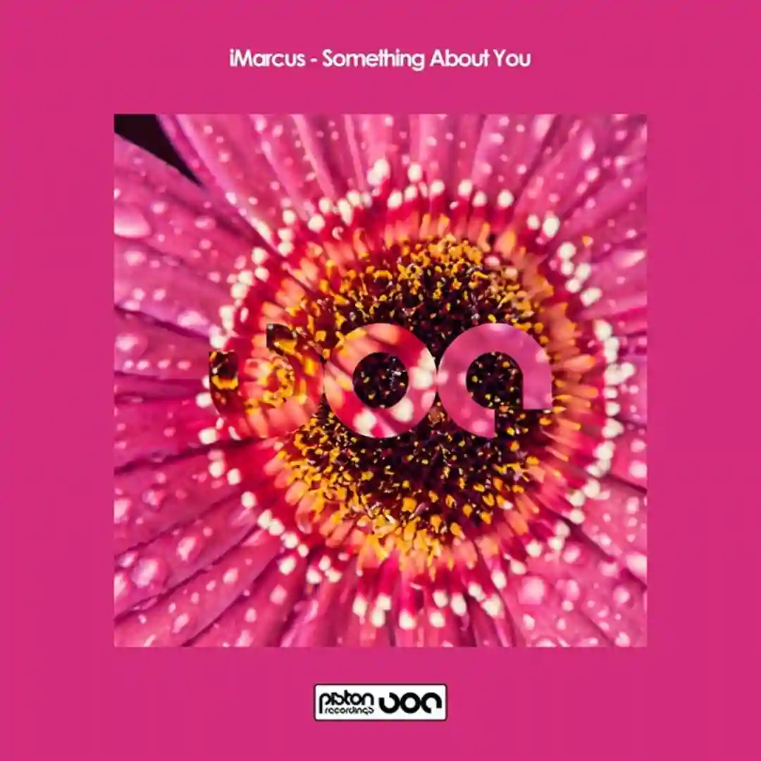 Something About You (Original Mix) cover