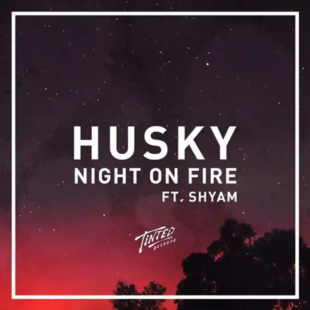 Night on Fire (feat. Shyam P) cover