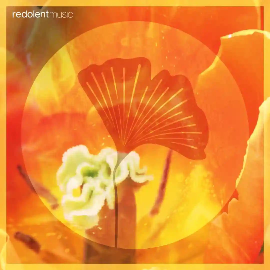 Loco Morocco (DJ CHUS Remix) cover