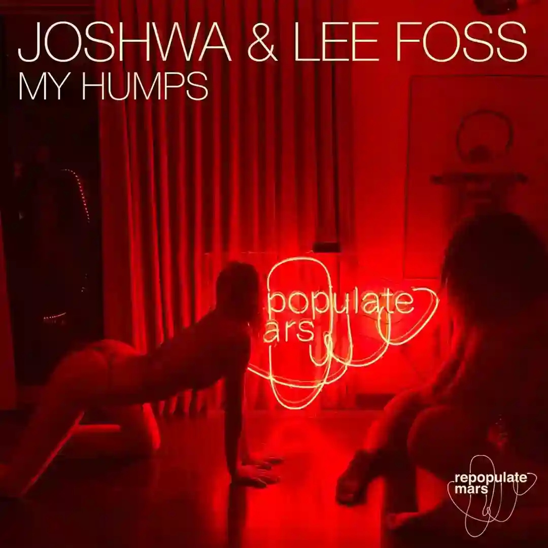 My Humps cover