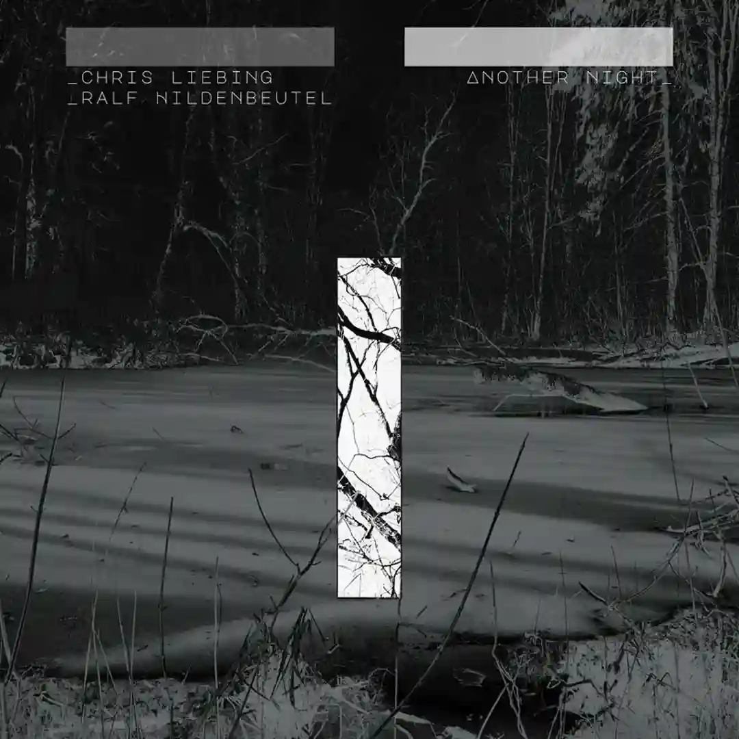 Circles (Jan Blomqvist Remix) cover