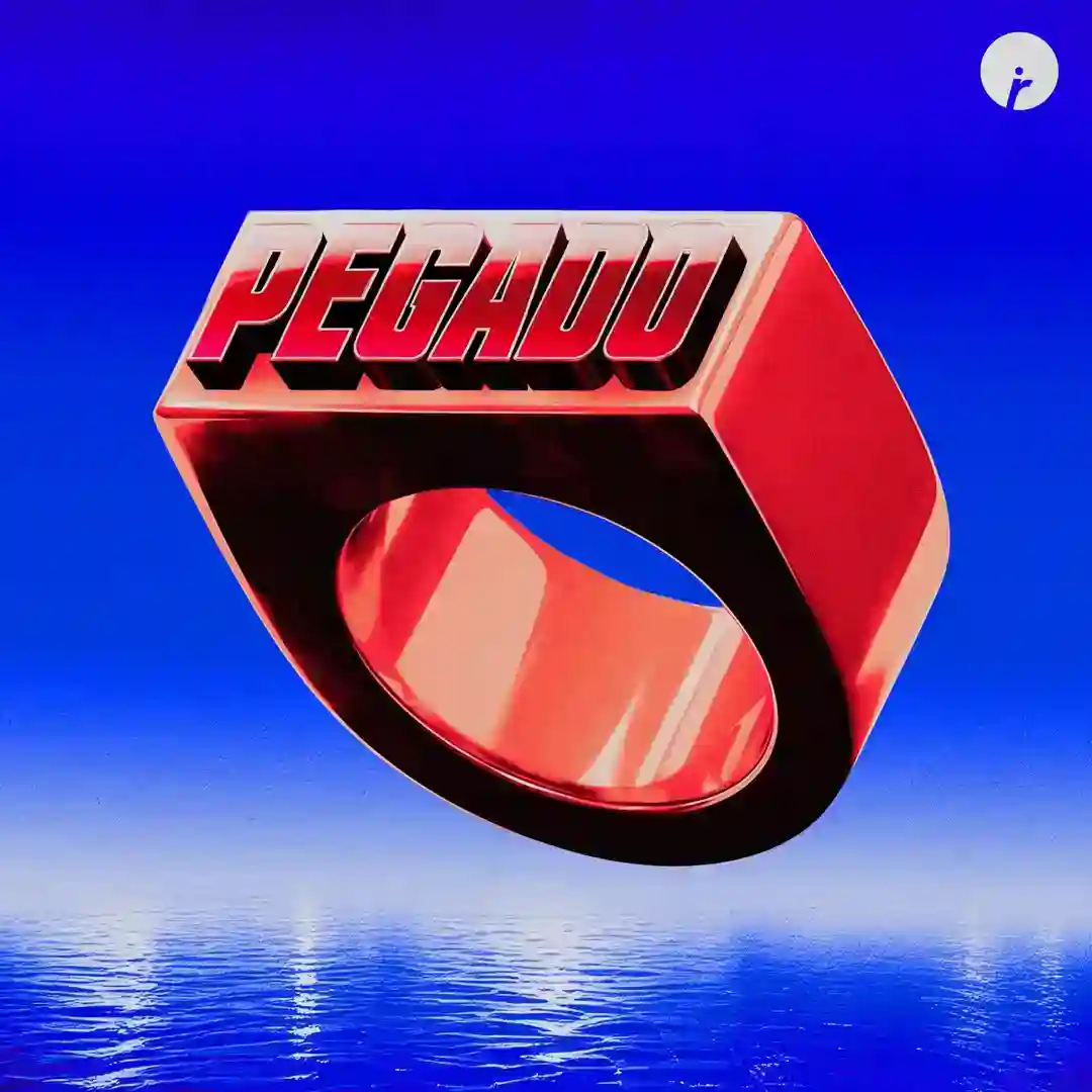 Pegado (Extended Mix) cover