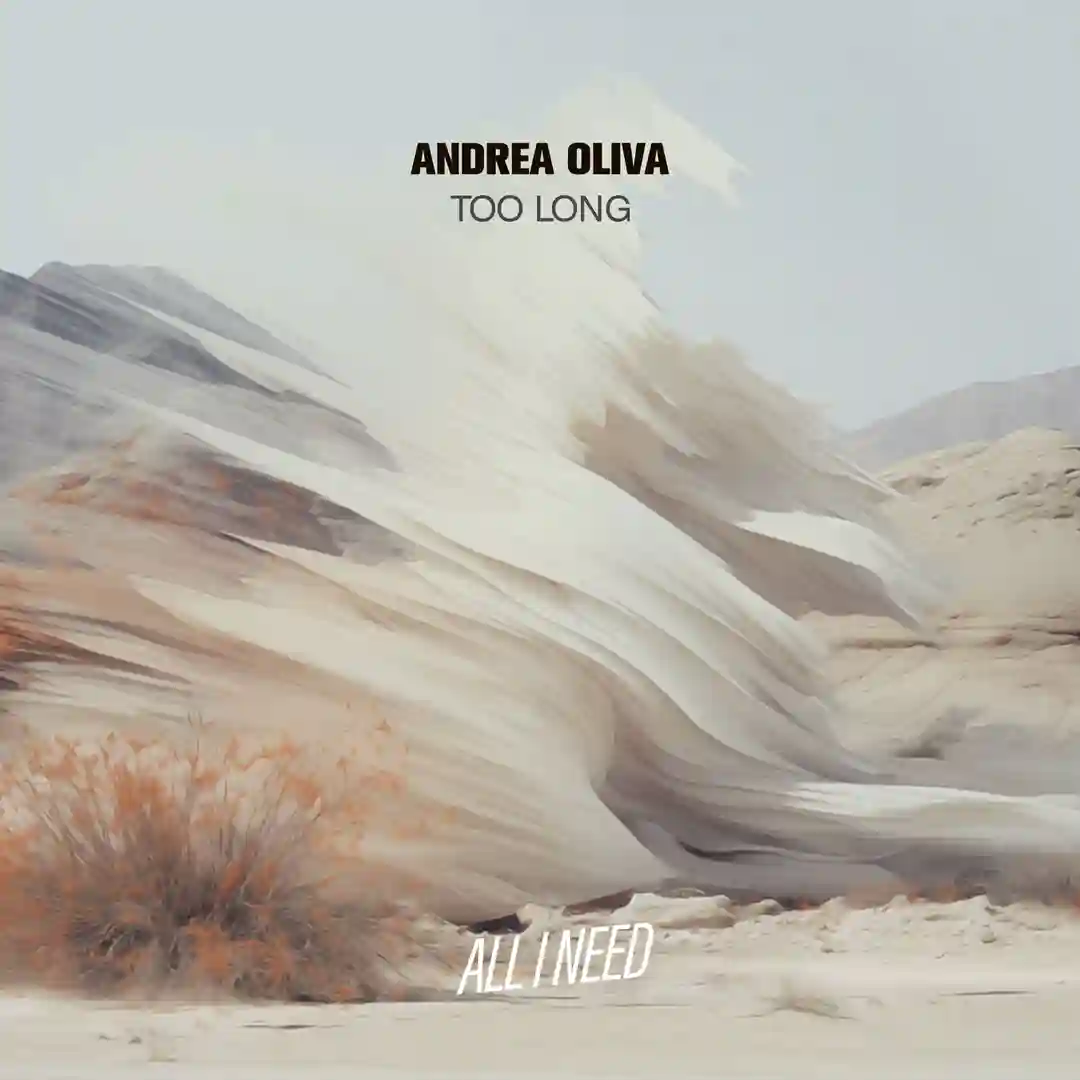 Too Long cover