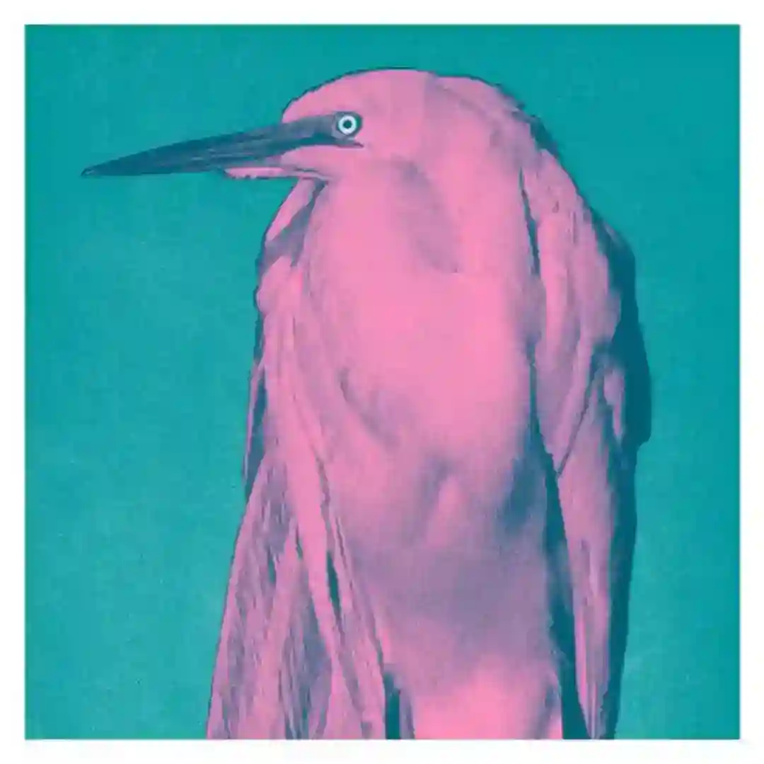 Got Needs (Original Mix) cover