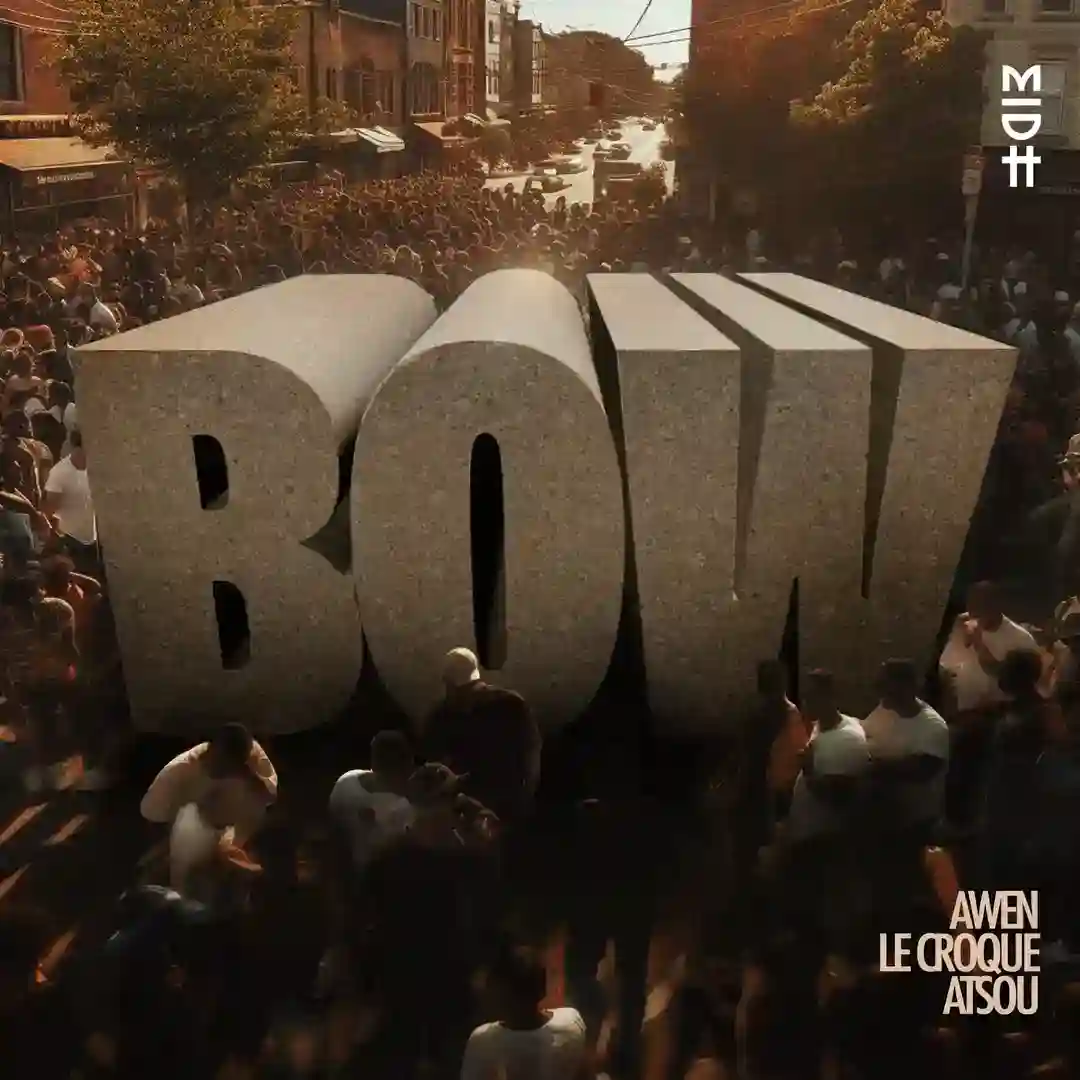 Bow cover