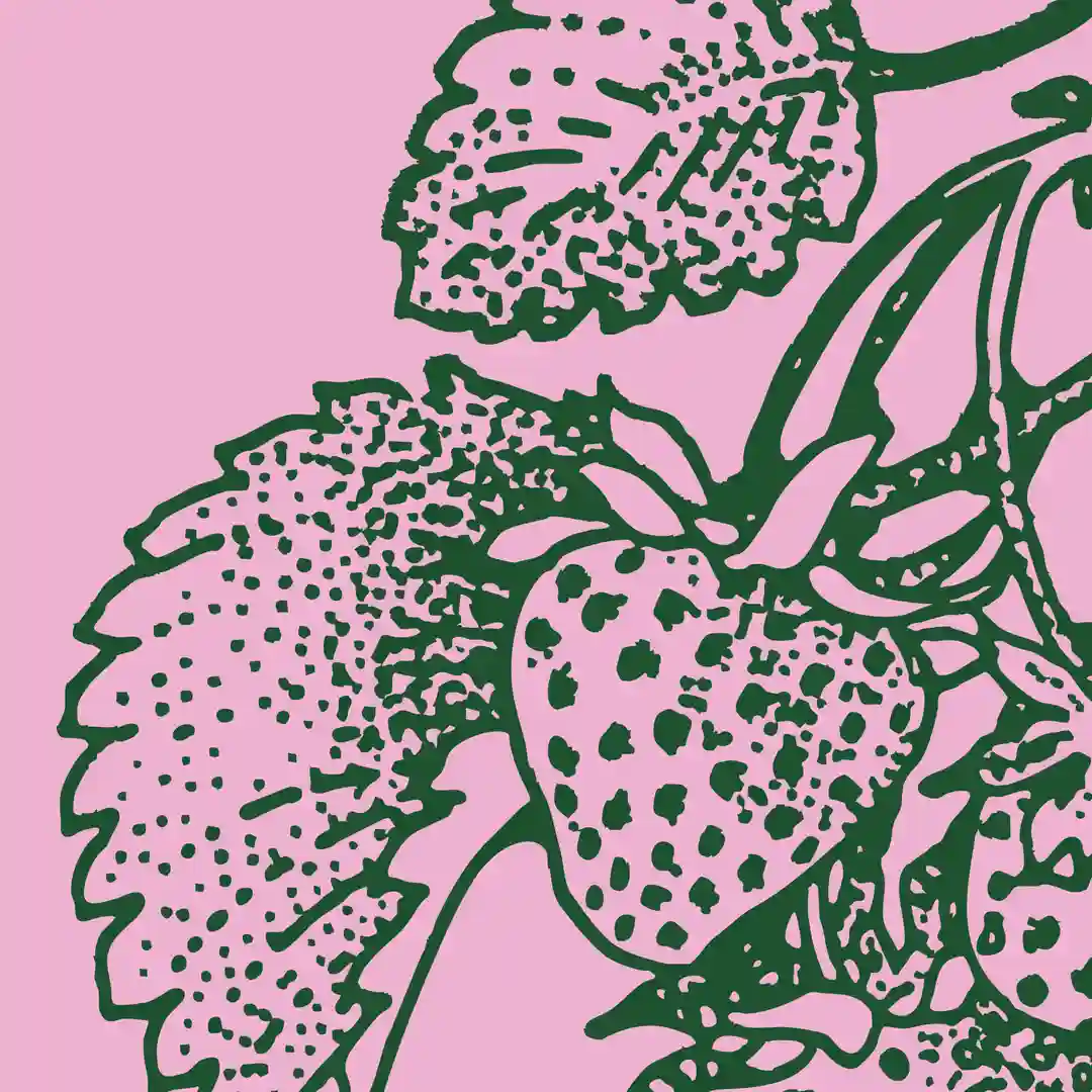 Patterns cover