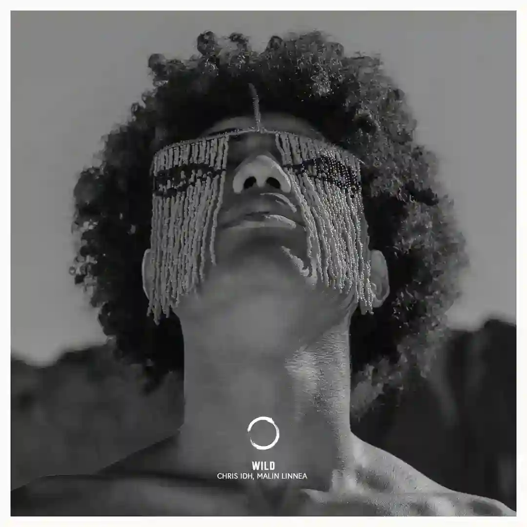 Wild (Original Mix) cover