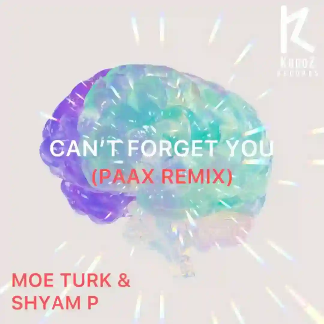 Can't Forget You (Paax Remix) cover