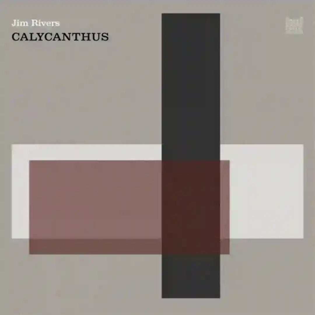 Calycanthus cover
