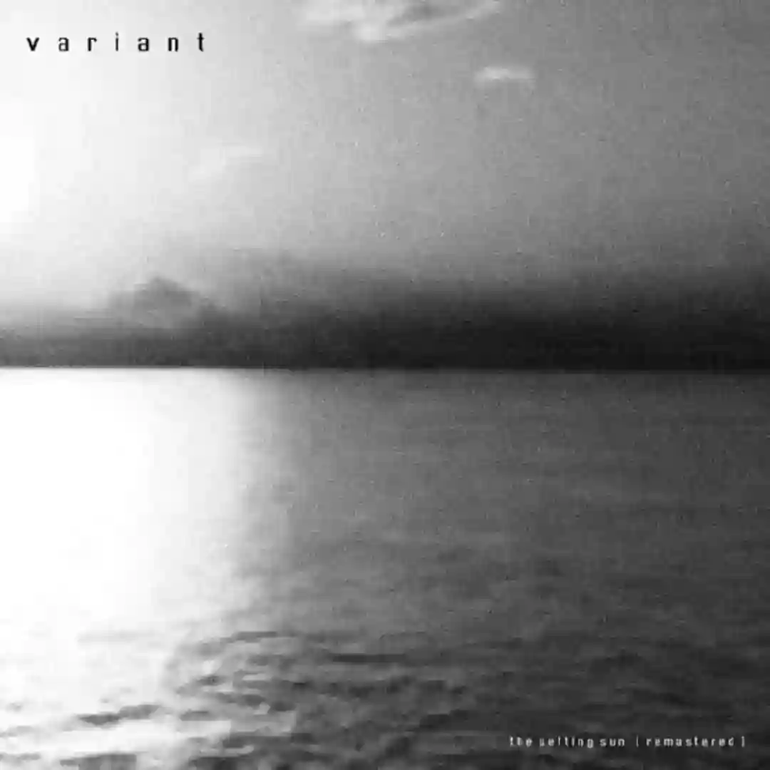 The Setting Sun (Live Version) cover