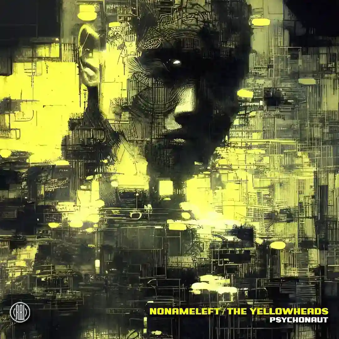 Psychonaut (Original Mix) cover