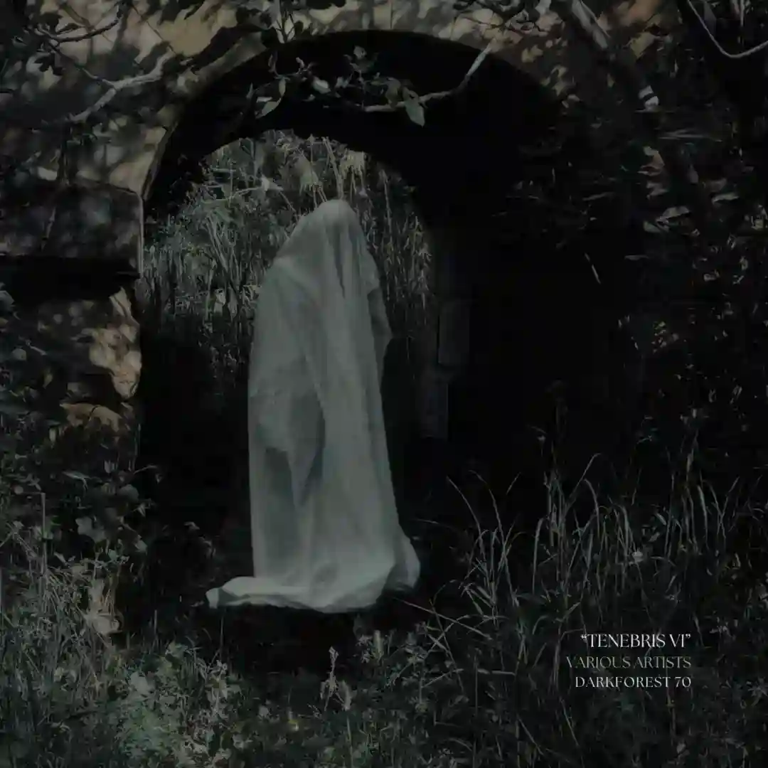 Sexto Circulo (Original Mix) cover