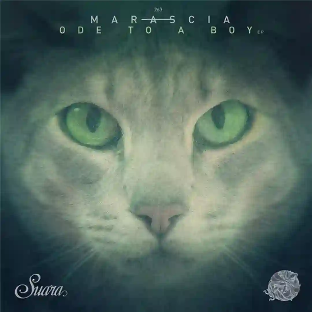 Ode To A Boy (Original Mix) cover