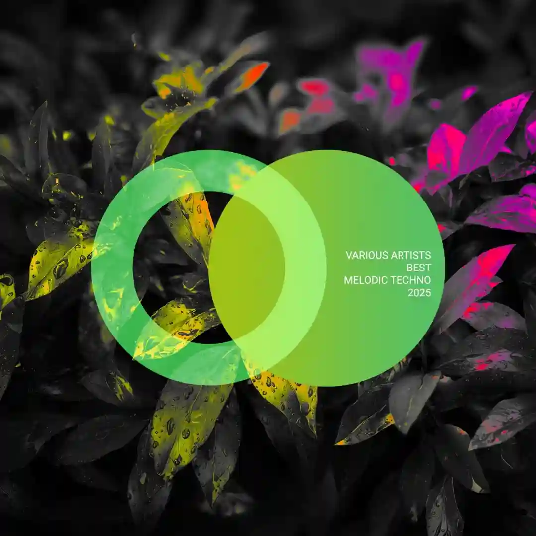Manifest (Original Mix) cover
