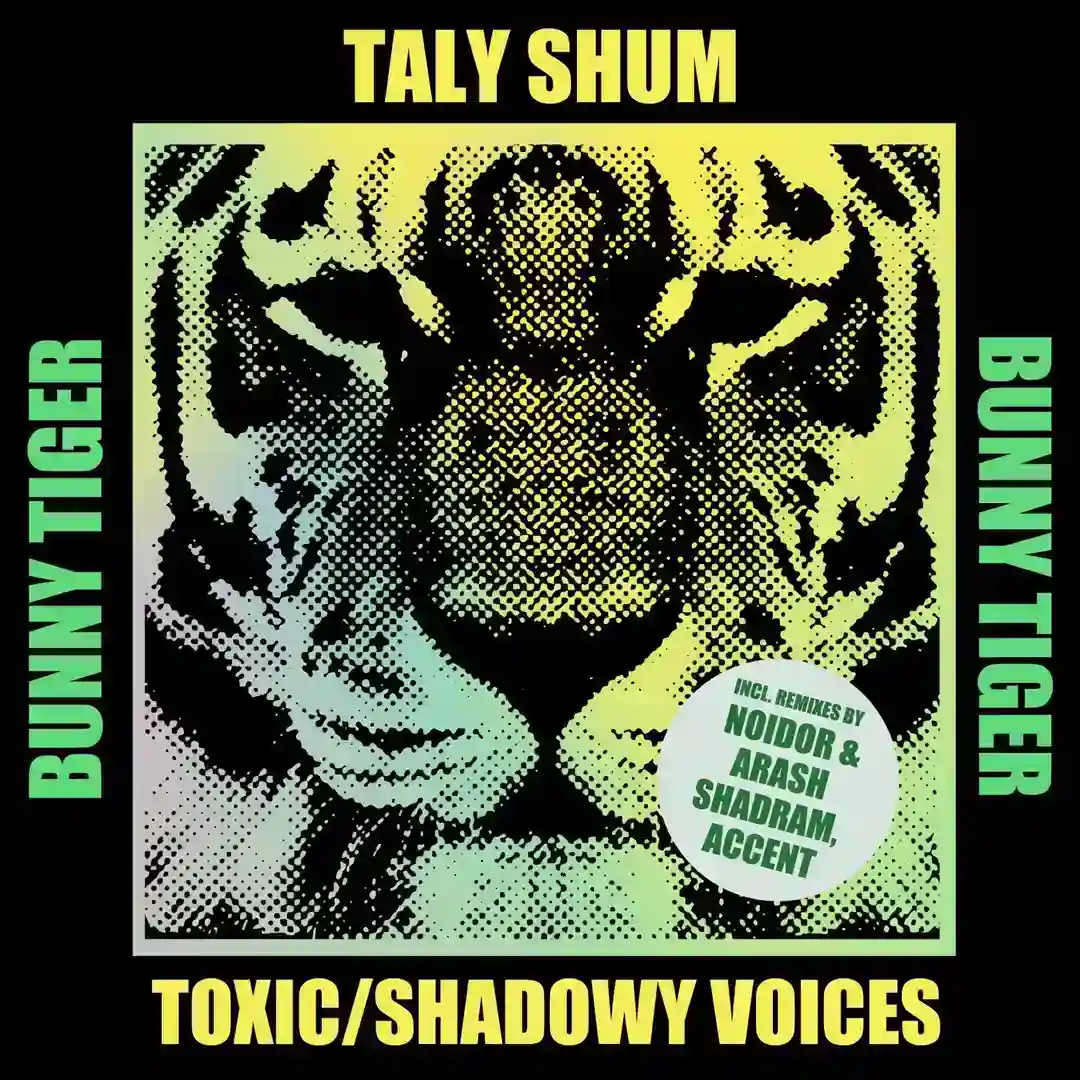 Shadowy Voices cover