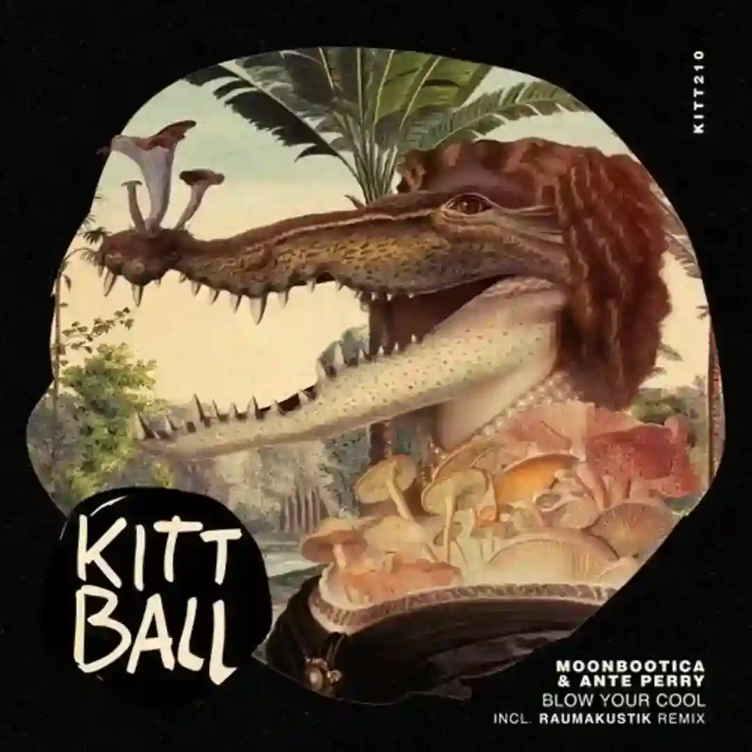 Blow Your Cool (Moonbootica Stripdown) cover