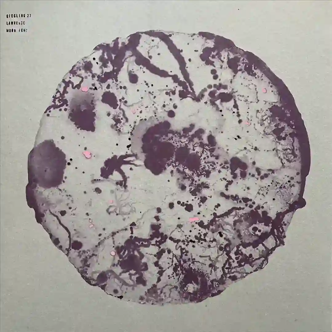 A2 Bonfire VINYL ONLY  cover