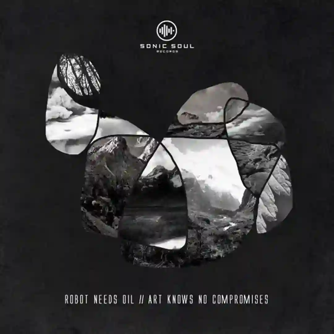 Art Knows No Compromises (Shades of Gray Remix) cover
