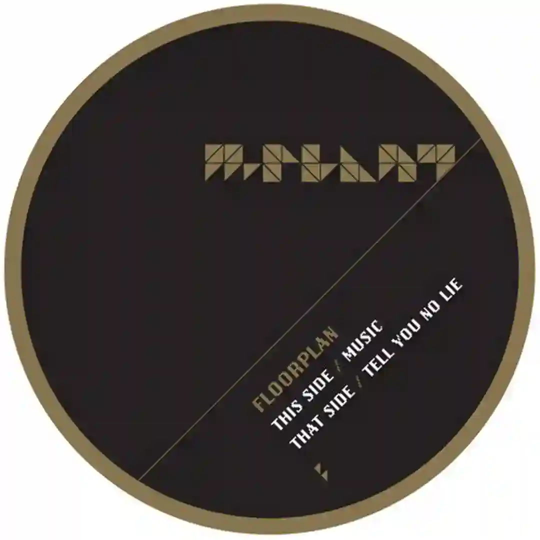 Tell You No Lie cover