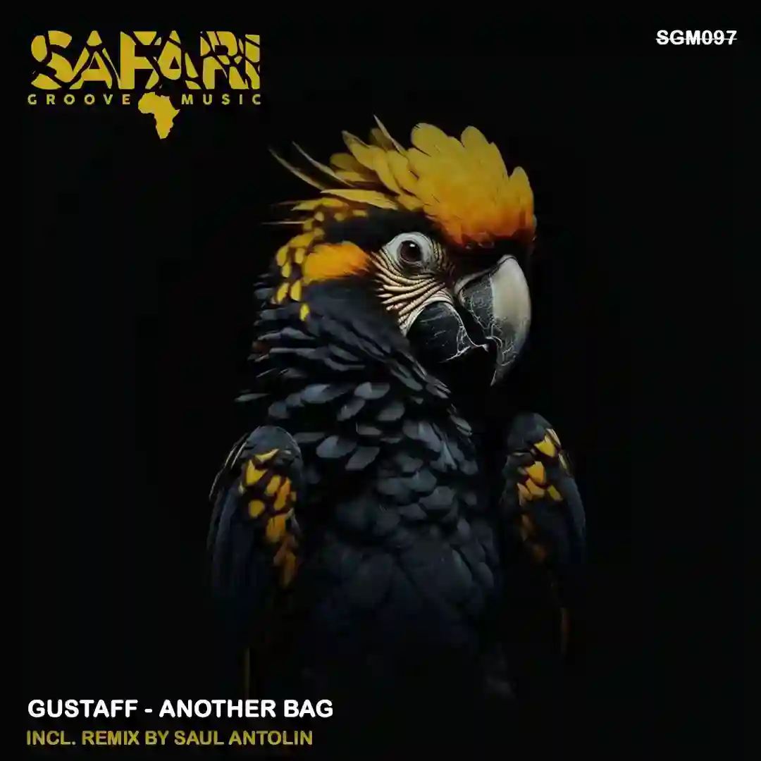 Another Bag (Saul Antolin Remix) cover
