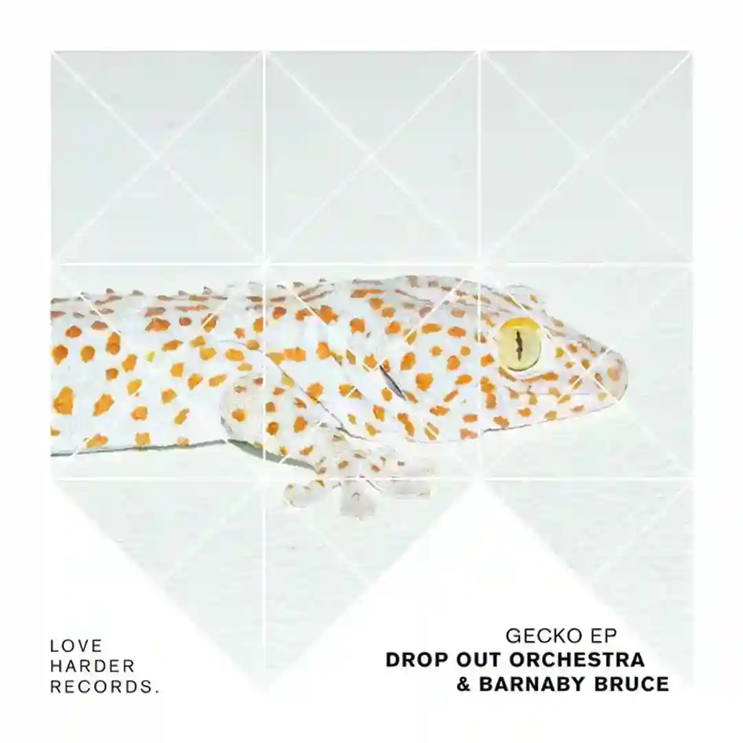 Gecko EP cover