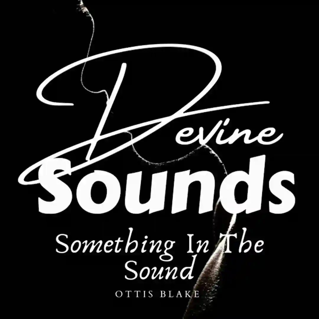 Something In The Sound (Original Mix) cover