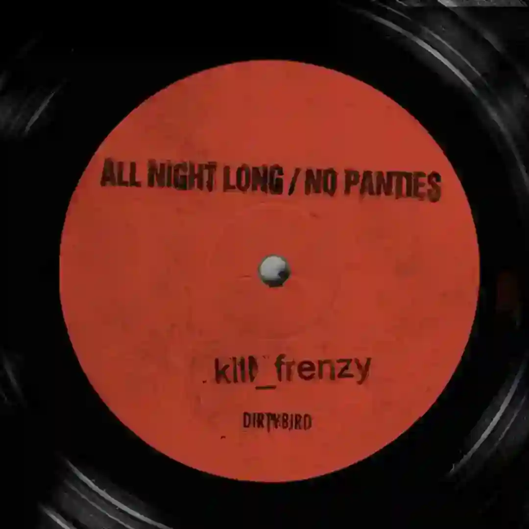 No Panties (Original Mix) cover