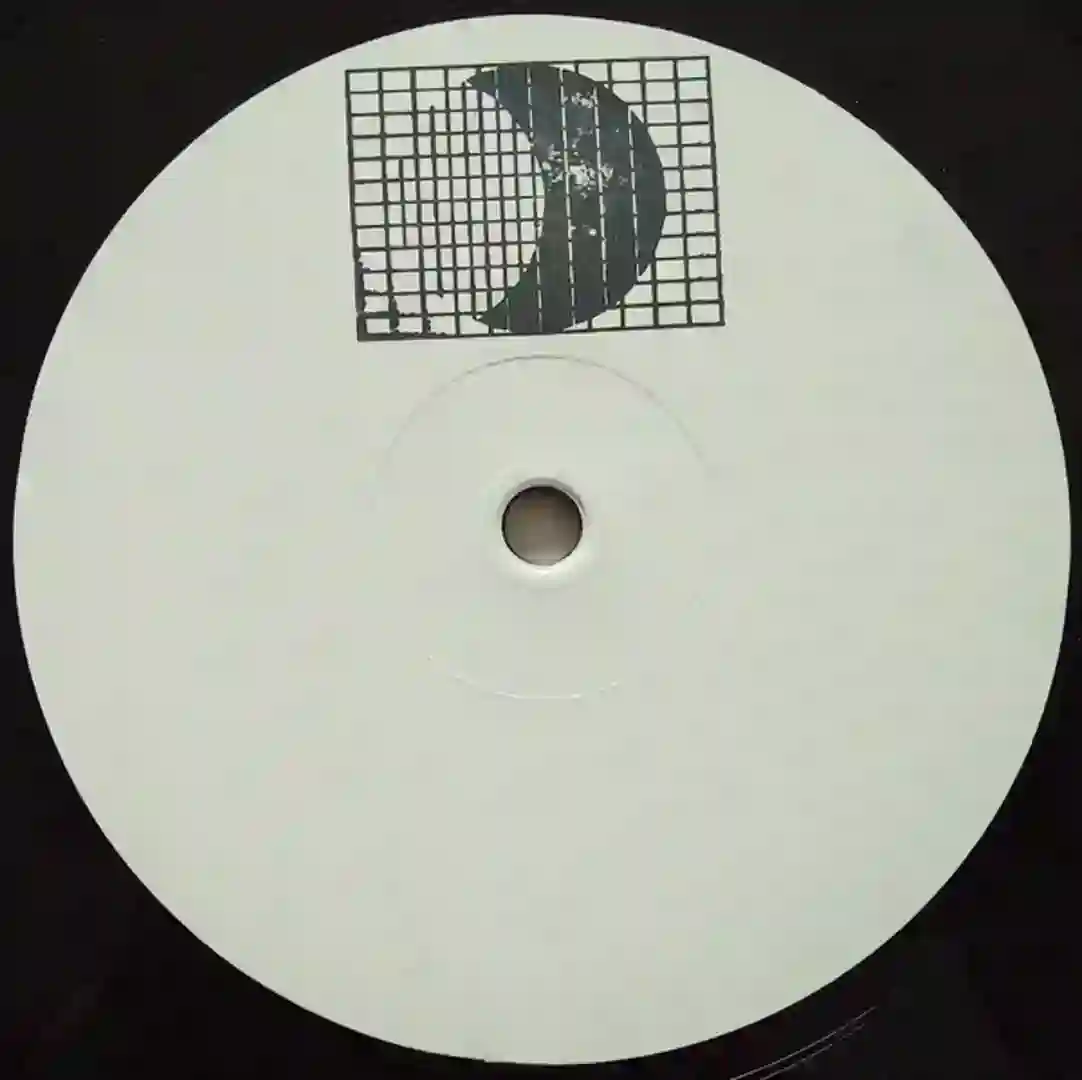 Salvage Run cover