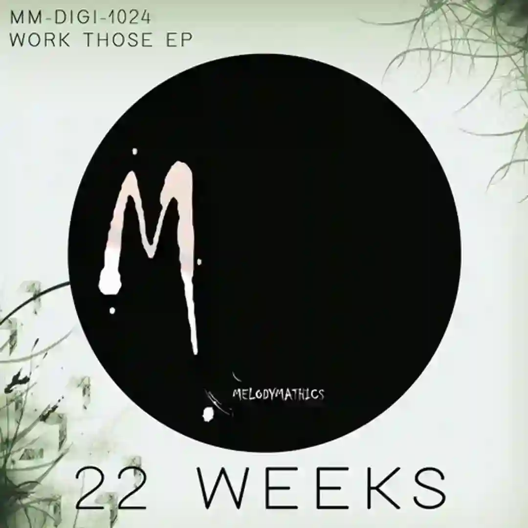 Work Those (Melodymann 'Lost In woods mix') cover