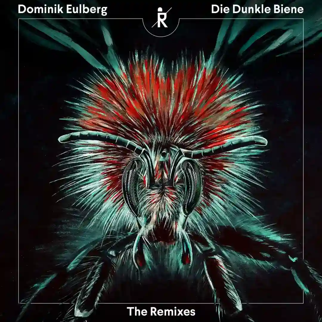 Die Dunkle Biene (Stimming Remix) cover