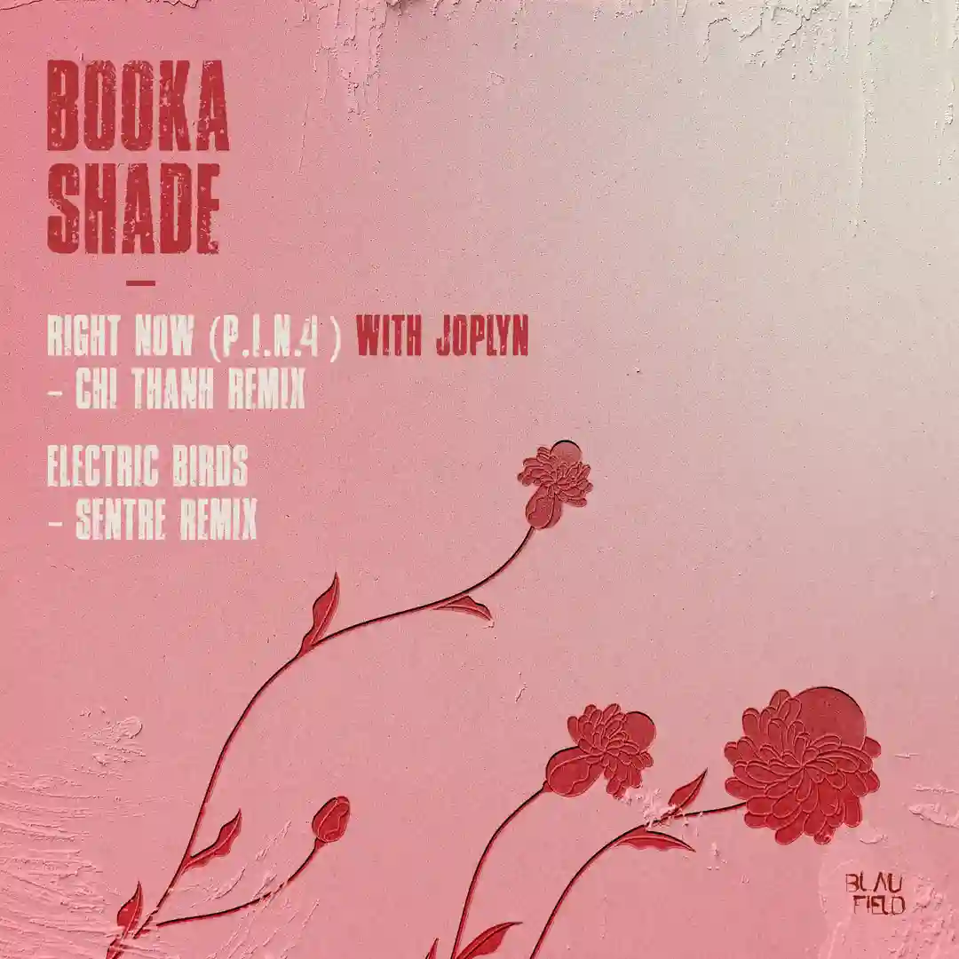 Electric Birds (Sentre Extended Mix) cover