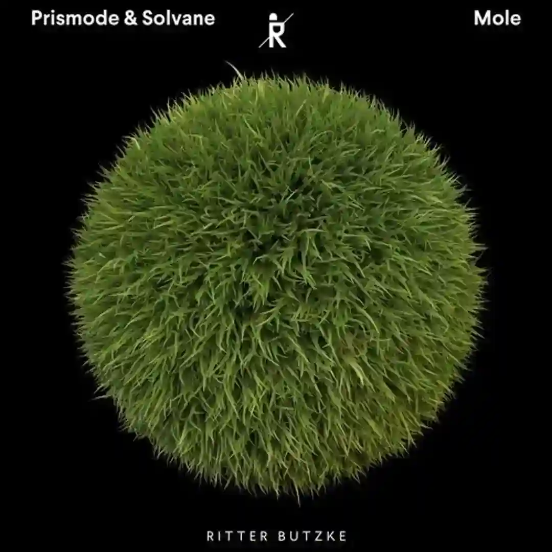 Mole (Nicone Remix) cover
