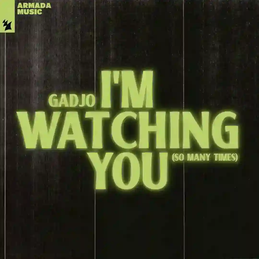 I'm Watching You (So Many Times) (Extended Mix) cover