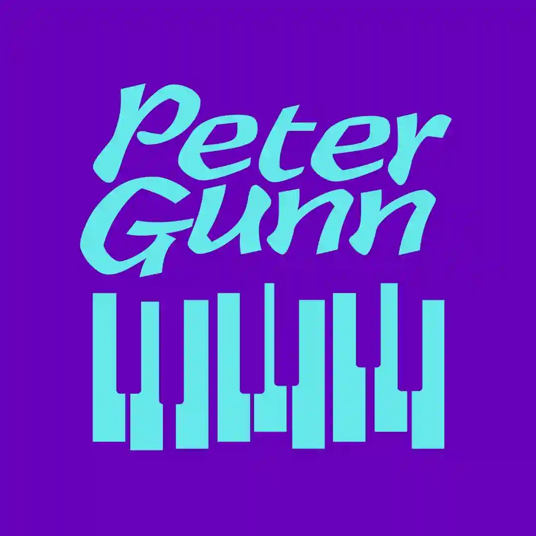 Peter Gunn (Extended Mix) cover