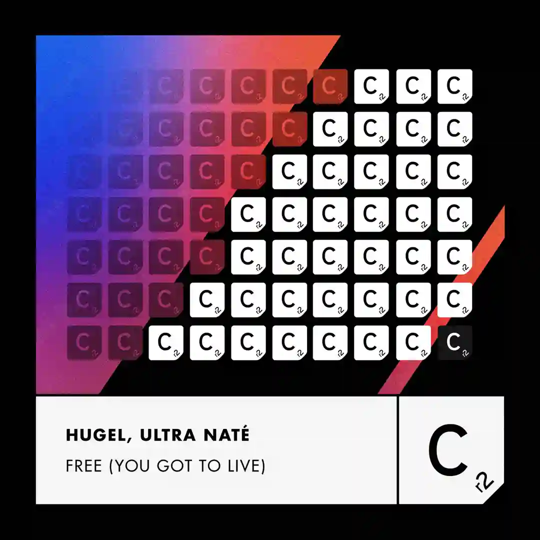 Free (You Got To Live) (Extended Mix) cover