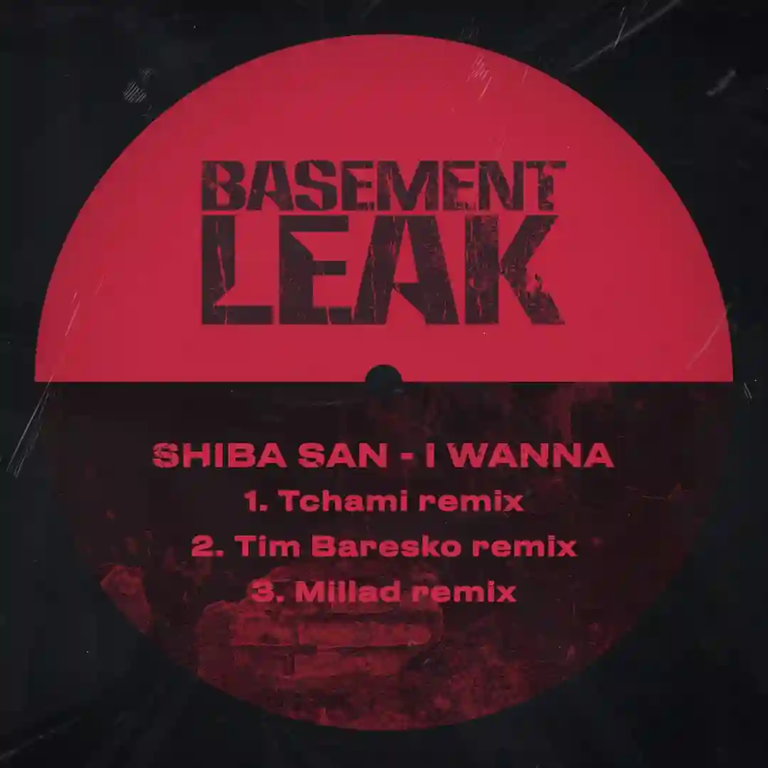 I Wanna (Remixes) cover
