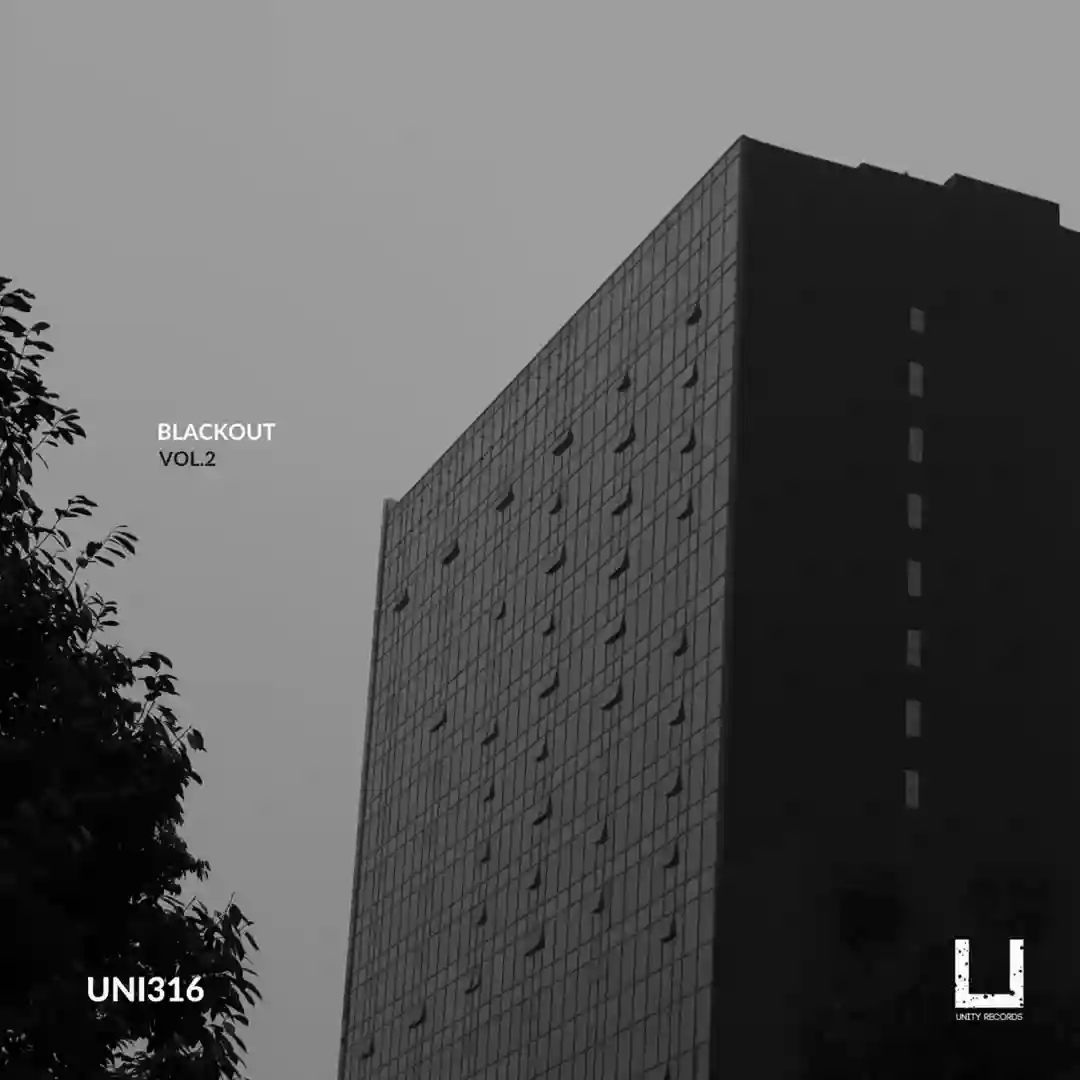 Fluss (Original Mix) cover