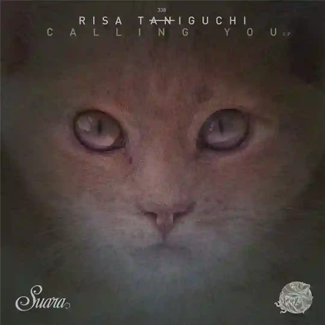 Roger (Original Mix) cover