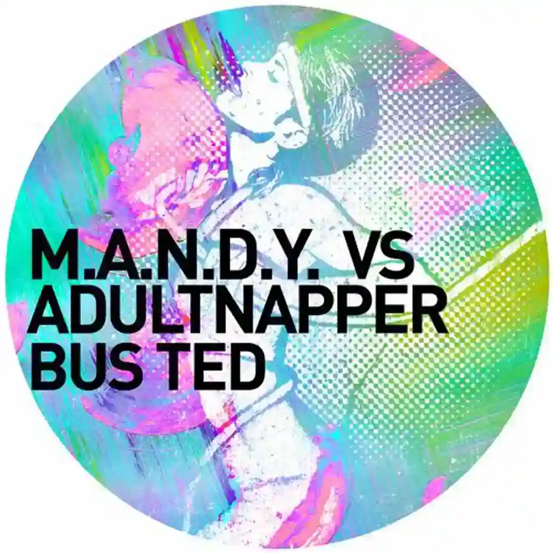 Bus Ted cover