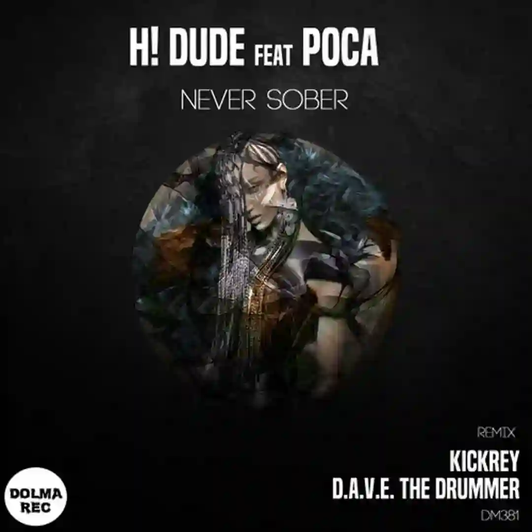 NEVER SOBER cover