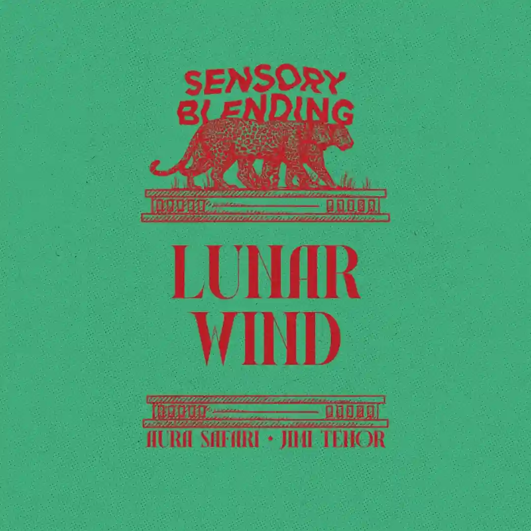 Lunar Wind (Jazz N Palms Remix) cover