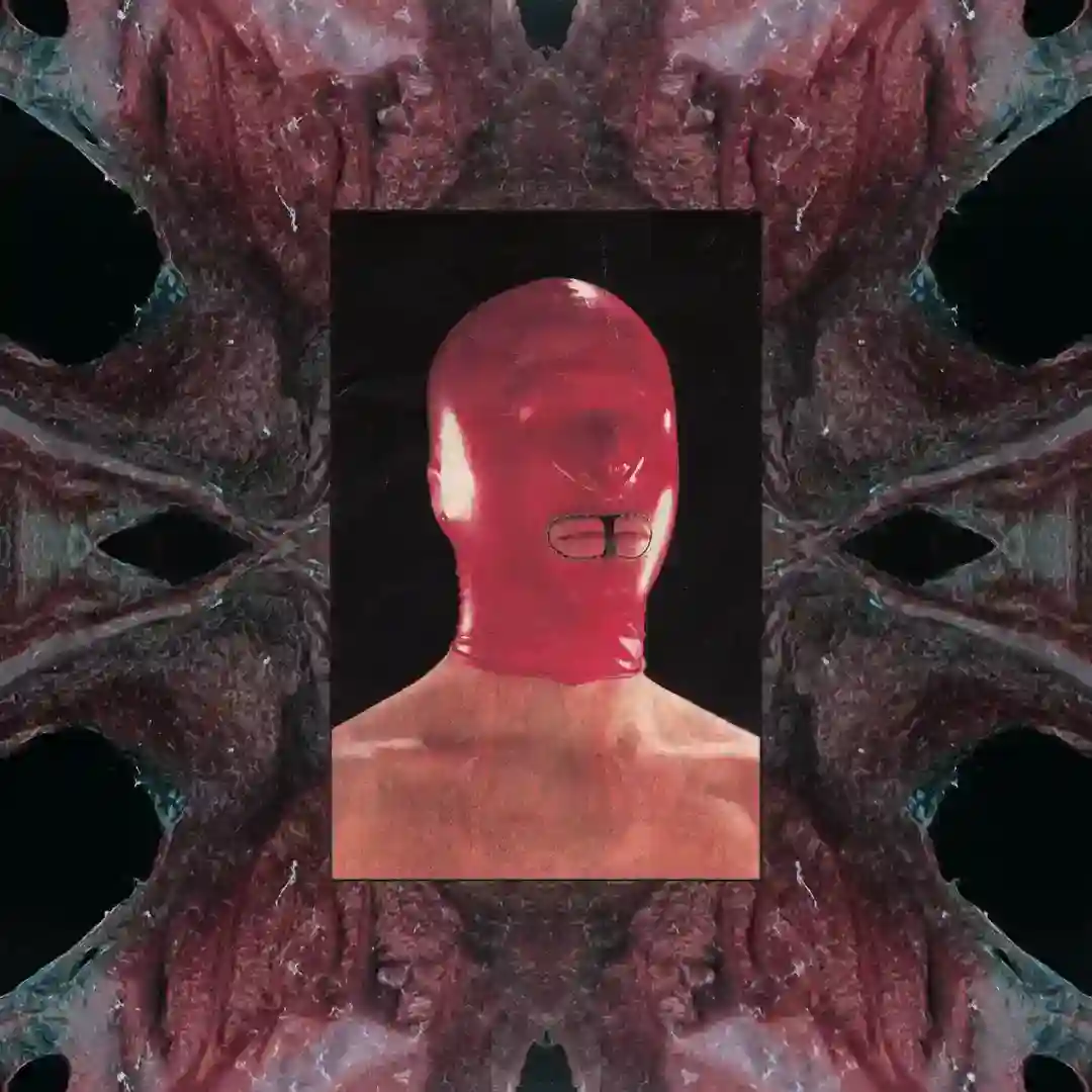Hypersensitivity cover