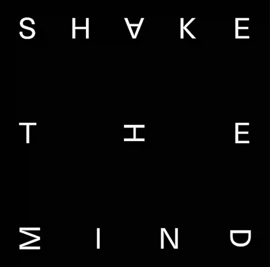 Shake The Mind (Radio Mix) cover