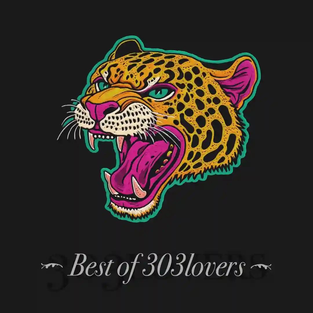 Sanctuary (Extended Mix) cover