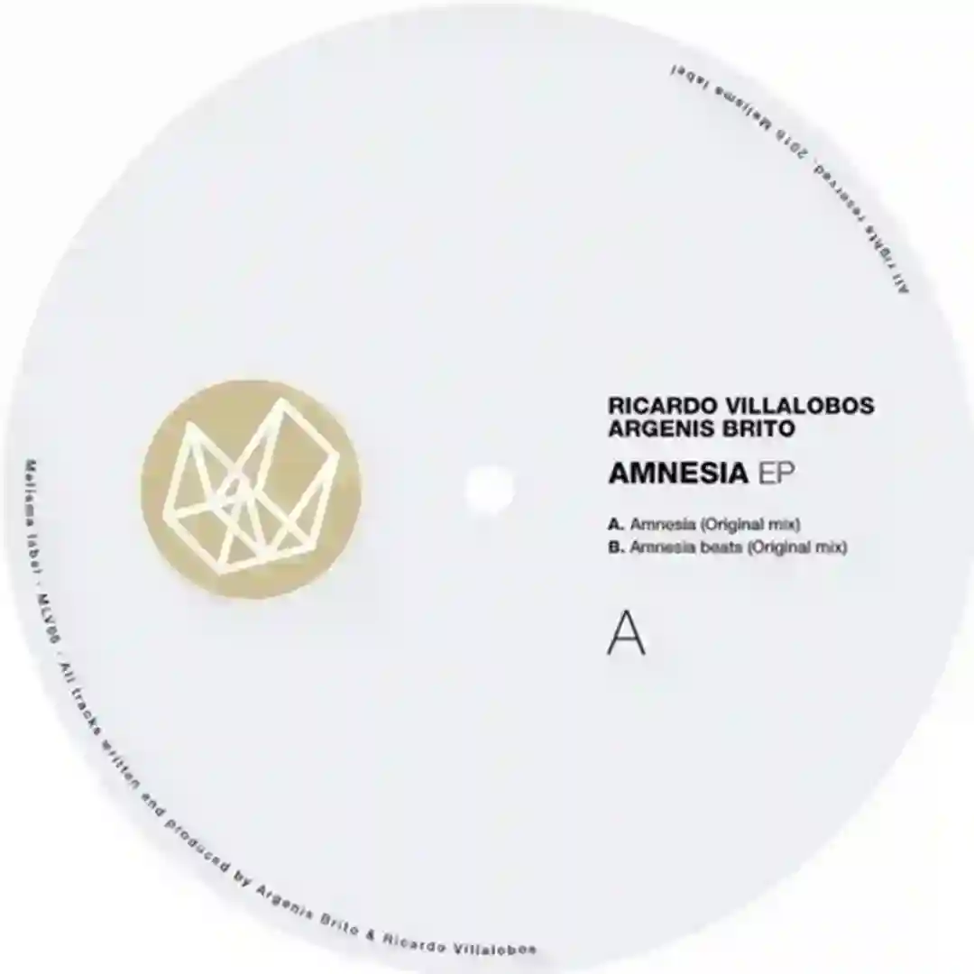 Amnesia (Original Mix) cover