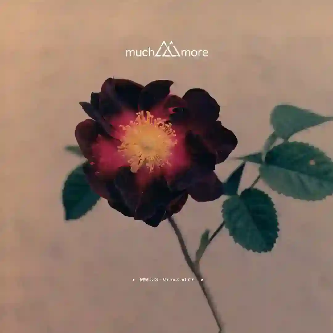 Restore (Original Mix) cover